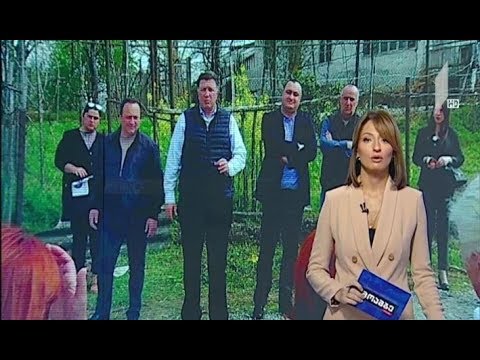 „ევროპული საქართველოს“ ლიდერის შეხვედრები ოზურგეთში