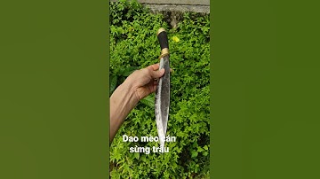 dao mèo rèn từ thép vòng bi+ cán sừng trâu. zl,0962393406