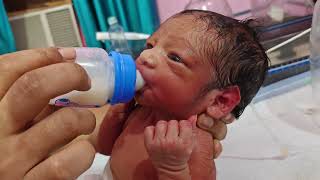 How to Bottle Feed a Newborn: 10 Must-Know Tips for Success!