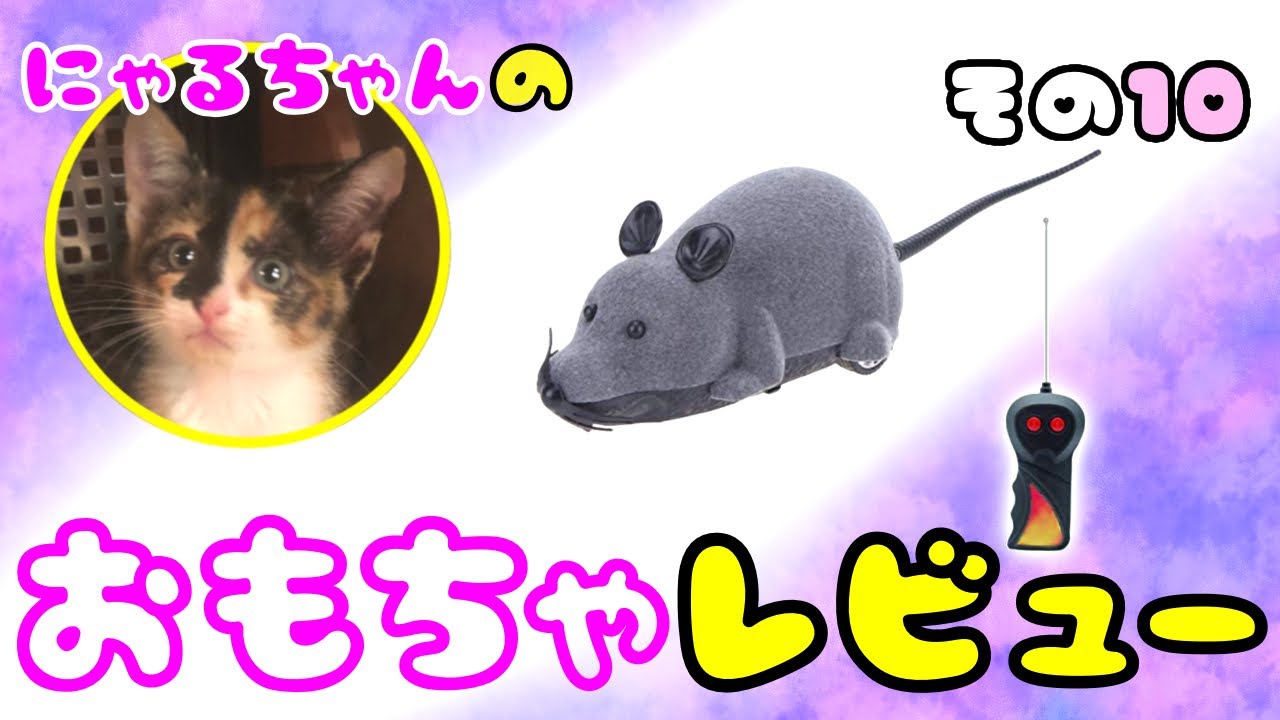 ネコ店長のおもちゃ】ねずみ型ラジコン⭐︎5段階評価 - YouTube