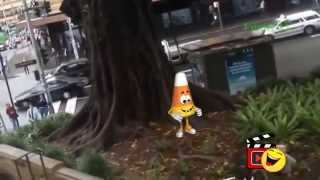 Video Lucu Banget Video Lucu Bikin Ngakak Terbaru 2015 Lucu Abis Bikin Ngakak Video Lucu Banget Video Lucu Bikin Ngakak Terbaru 2015 Lucu Abis Bikin Ngakak