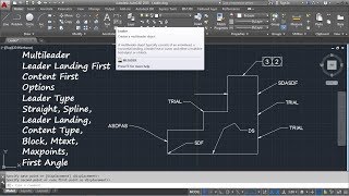 AutoCAD Arrow with Text | AutoCAD Leader Command Tutorial Complete | Curved Multileader Arrow Size