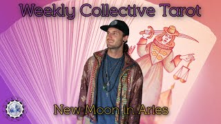 Weekly Collective Tarot May 24th-29th 2022 (All Signs)