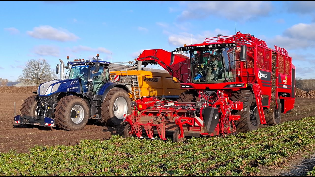 Bieten 2025 | Nieuwe Vervaet Q-621 | Mooie NH T7.340 | Fendt | Joskin | Grimme Rexor | Beet Harvest