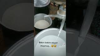 Kim Demiş Çiğ Sütten Kaymak Olmaz Diee... 😅😅