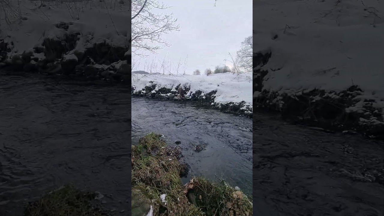 Winter Creek ASMR | Calming Water Sounds ❄️ 