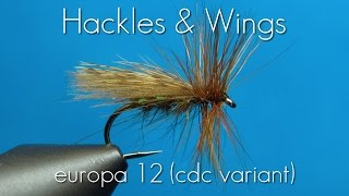 Fly Tying Europa 12 (cdc variant) | Hackles & Wings