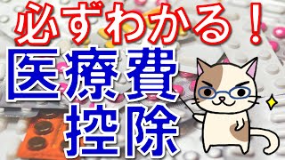 医療費控除の書き方・申告方法！確定申告で数万円の税金が安くなる（戻ってくる）ことも！！