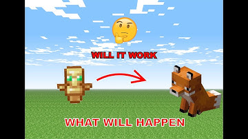 what if we give totem of undying to a fox🤔