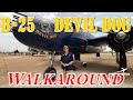 B-25 Devil Dog Walkaround