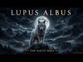 LUPUS ALBUS | The White Wolf of the Carpathians | Carpathian Ritual