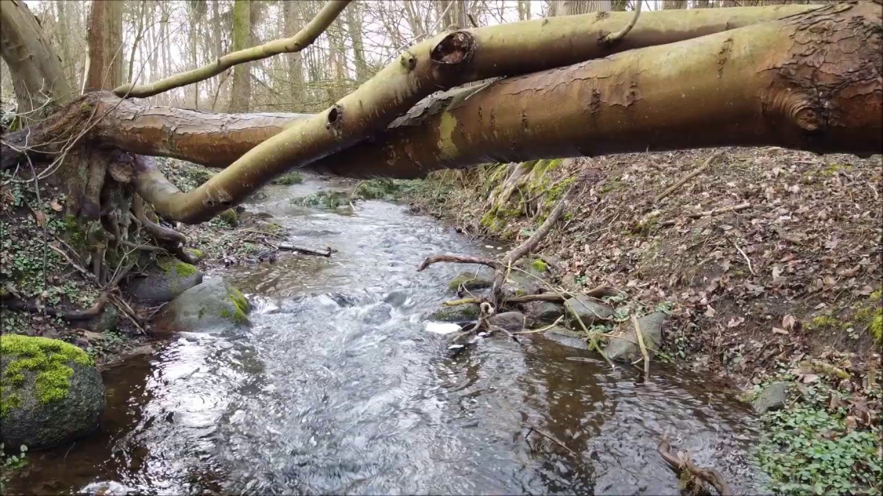 Mühlbach in Sundhagen