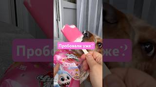 Пробовали уже? #обзор #тренд #Мороженоеслабубу #антистресс #сквиш