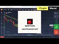 Forex Trading Signals Live - [1,029 Forex Indicators In 1 ...