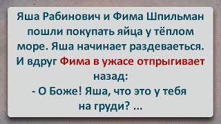 ✡️ Рабинович и Шпильман на Море! Еврейские Анекдоты! Анекдоты про Евреев! Выпуск #183