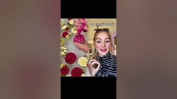 Máte nějakýho z nich?😂🙌🏻 #foryoupage #czech #polish #siblings #family #typesofsiblings #sibling