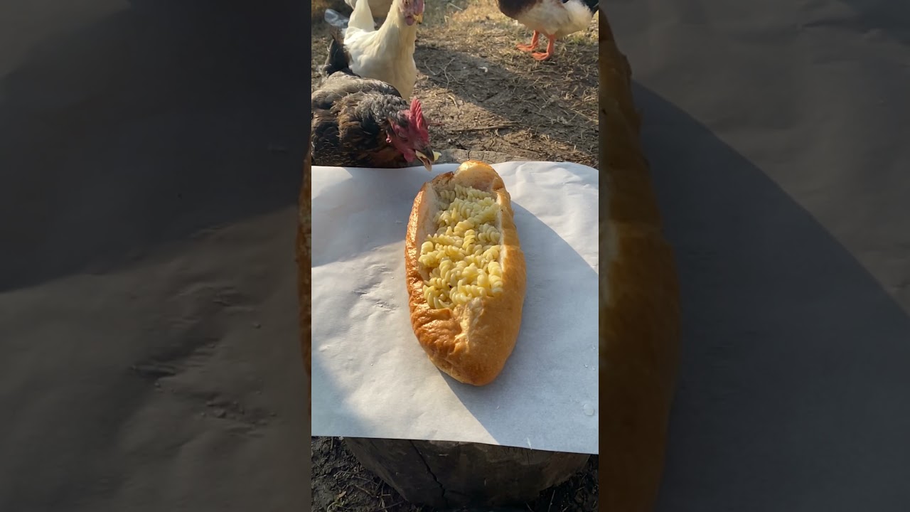 Makarnalı Kaşarlı Pide ???? ???????? #yemek #yemektarifleri #food #chicken #tavuk #yemekler #doğa #içerik Makarnalı Kaşarlı Pide ???? ???????? #yemek #yemektarifleri #food #chicken #tavuk #yemekler #doğa #içerik