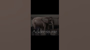 Bricklink (Lego) to BAN Lego fans corn buying / selling on the site! 😡 #lego #bricklink #short