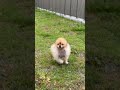 一瞬だけ全力ダッシュ!!