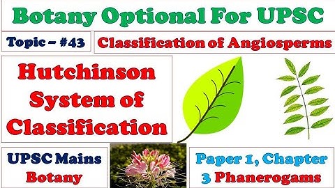 Hutchinson System of Classification: Angiosperm Taxonomy: Principles: Merits & Demerits: Botany UPSC