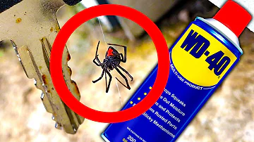 ¿El WD-40 repele a las arañas?