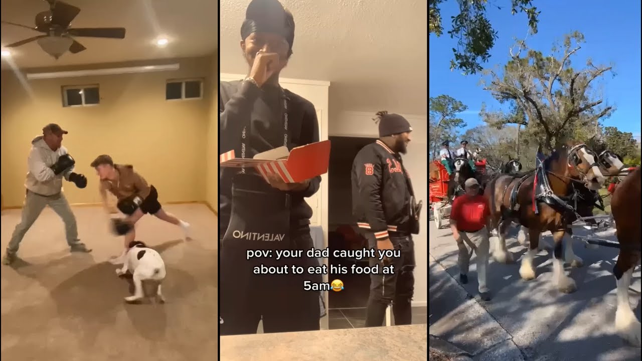 Family things part 62