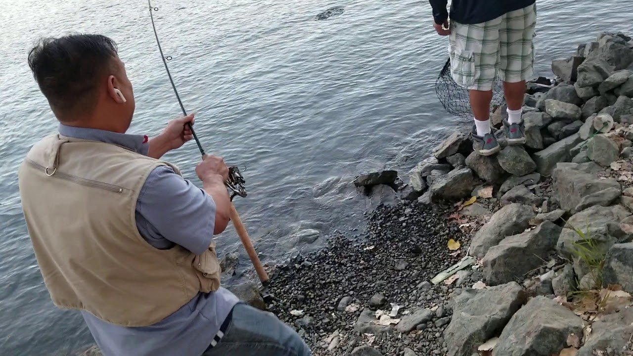 Sacramento salmon fishing discovery park 2018 YouTube
