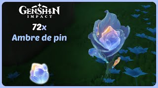 Pine Amber | Locations and Routes | Genshin Impact Pine Amber | Locations and Routes | Genshin Impact