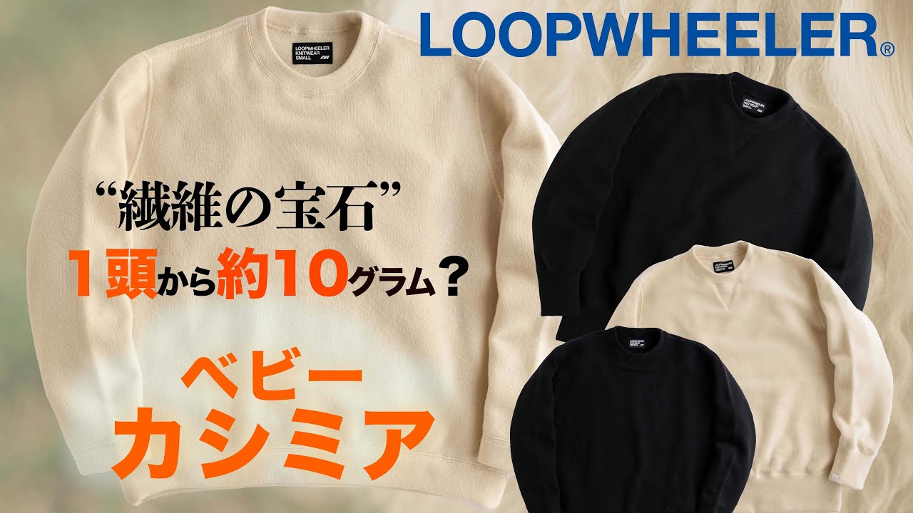 ループウィラー 25周年記念限定Tシャツ ちょいビック【Ｍ】 ループウィラー ちょいBIG 【M】 ループウィラー 25周年記念限定T
