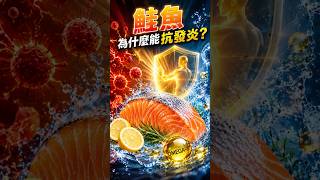 鮭魚能抗發炎？這成分是「天然止痛藥」！🐟👍
