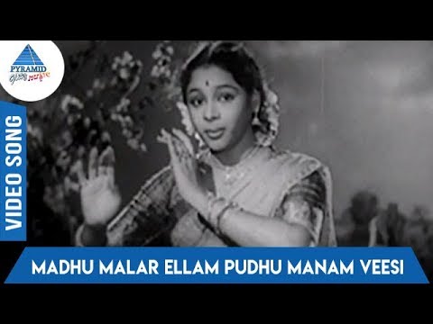 Madhu Malar Ellam Song Lyrics on YouTube