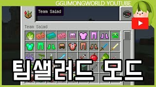 팀샐러드 모드 [Minecraft]