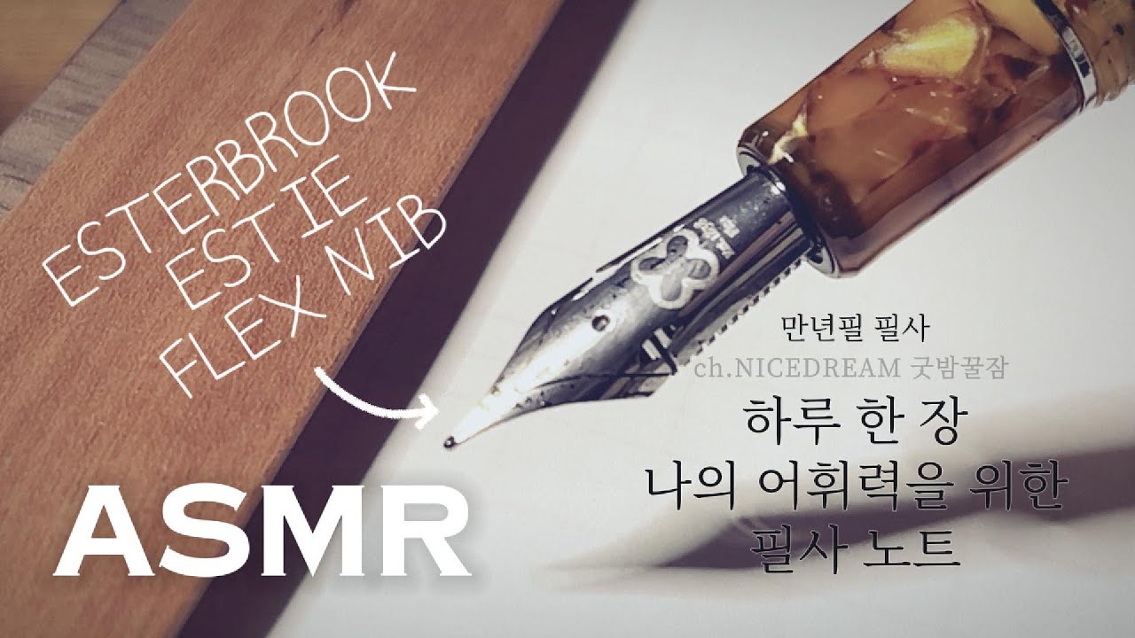 에스터브룩 에스티 플렉스닙 만년필 필사 ASMR, 하루 한 장 나의 어휘력을 위한 필사 노트, NO TALKING, RELAXING, 굿밤꿀잠
