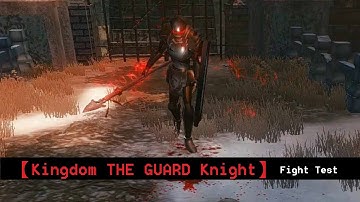 【Unity ARPG】Nali VS Kingdom The Guard Knight Test 06 【Gustavo:Kingdom Rebirth】