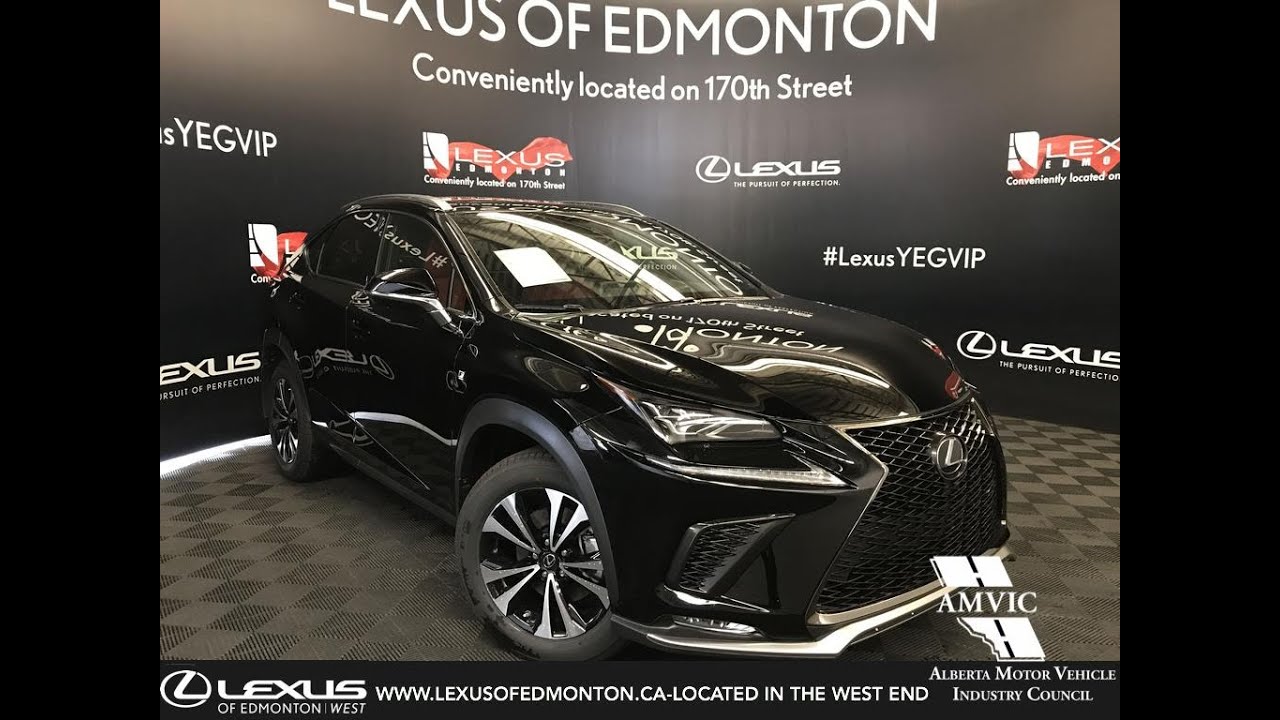 Black 2019 Lexus NX 300 F Sport Series 1 Walk Around