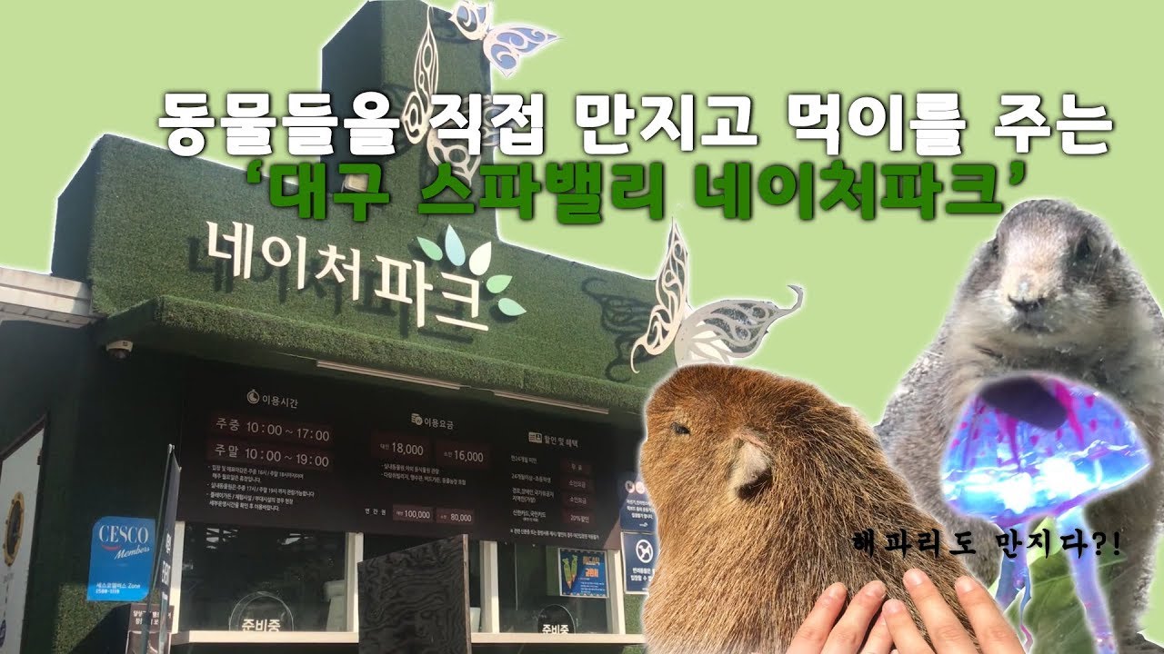 [IIJ] 대구 스파밸리 네이처파크, 동물을 가까이서 보고 만지다?!