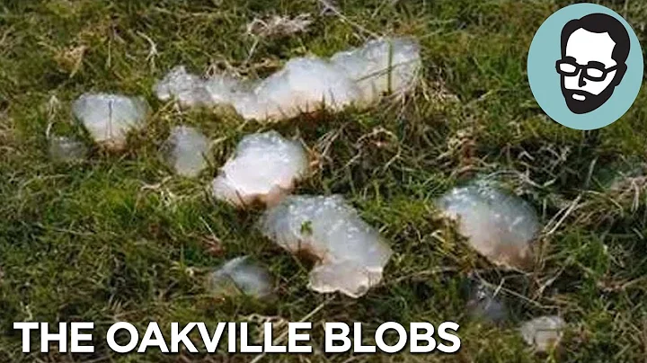 They Thought It Was Hail. It Was Something WAY Weirder.