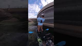Scum Frog Bigfoot 2 XS- Black poison #fishing #bassfishing #shorts #shortvideo #shortsfeed #fishing