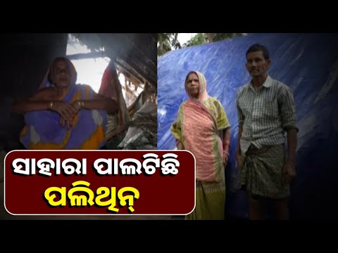 ୩୦ ବର୍ଷ ଧରି ପଲିଥିନ ଢଙ୍କା ଝାଟିମାଟି କୁଡିଆରେ ବିତୁଛି ଜୀବନ ତାଙ୍କ ପାଇଁ ଆବାସ ଯୋଜନା ପାଲଟିଛି ସାତସପନ