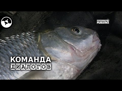 Ловля кутума | Классика