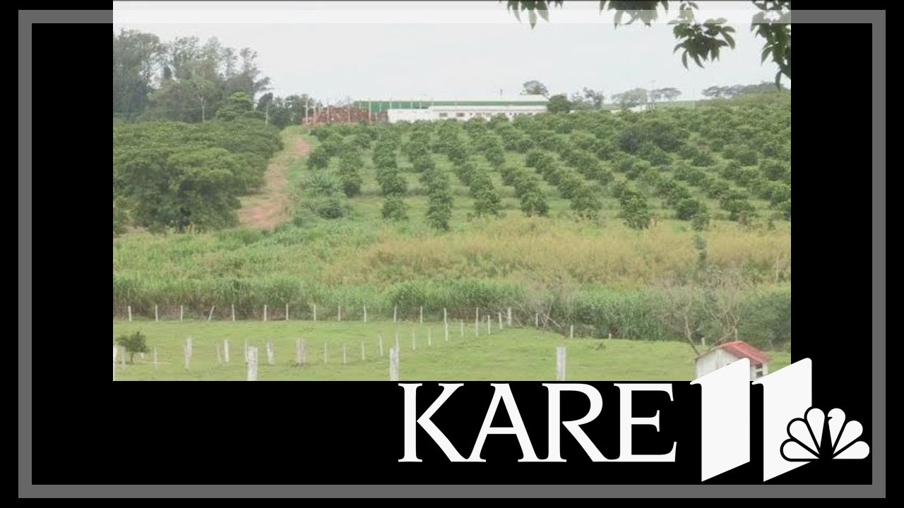 Drought driving up food prices - YouTube