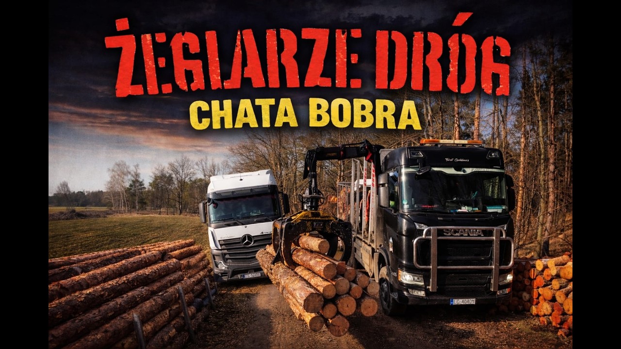 #115 Niemiecka tuba. Zbieranina drewna po lesie i