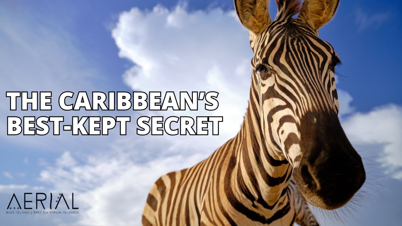 This Is The Aerial, BVI – Your Private Island Escape