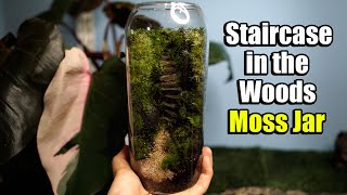 Making staircase in a forest moss jar! by Josie king 117 views 1 year ago 5 minutes, 33 seconds