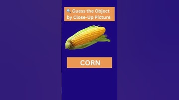 🔍 Guess the Object by Close Up Picture | QUIZ | #shortsvideo