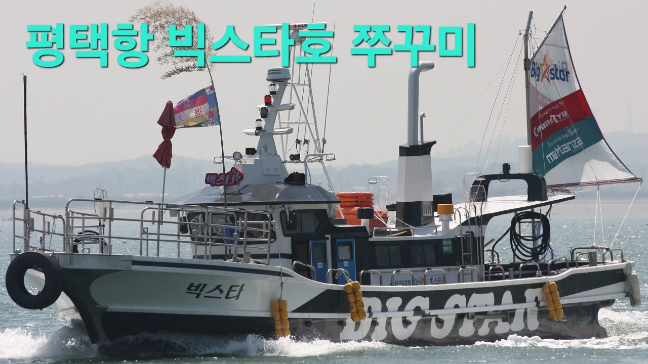 평택항 빅스타호 쭈꾸미#갑오징어
