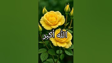 🦊🦊🦊 سورة الإخلاص .....🕋⛪🕌   [اللهم صل وسلم على نبينا محمد  ]🫀🫀