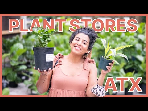Where to Buy
