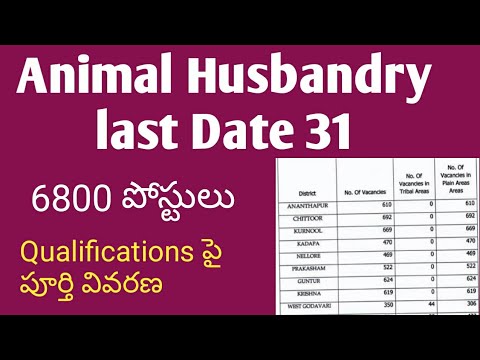 Animal Husbandry Qualifications | Veterinary Assistant Jobs qualifications  | Sachivalayam Jobs 2020 - YouTube