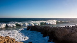 Huge waves at Malibu, Hurricane Marie swell 8.27.2014